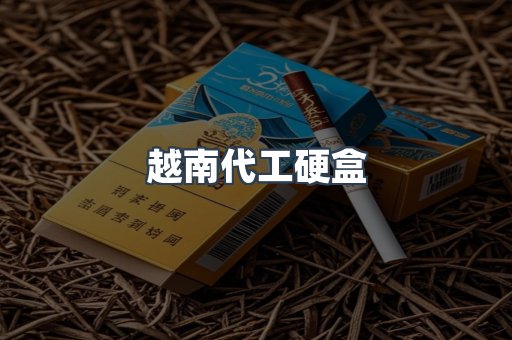 越南代工硬盒